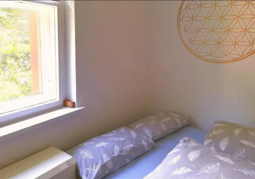 Rathmannsdorf Ferienwohnung Fuer Naturfreunde מראה חיצוני תמונה